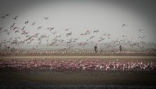 Voyage en Namibie
